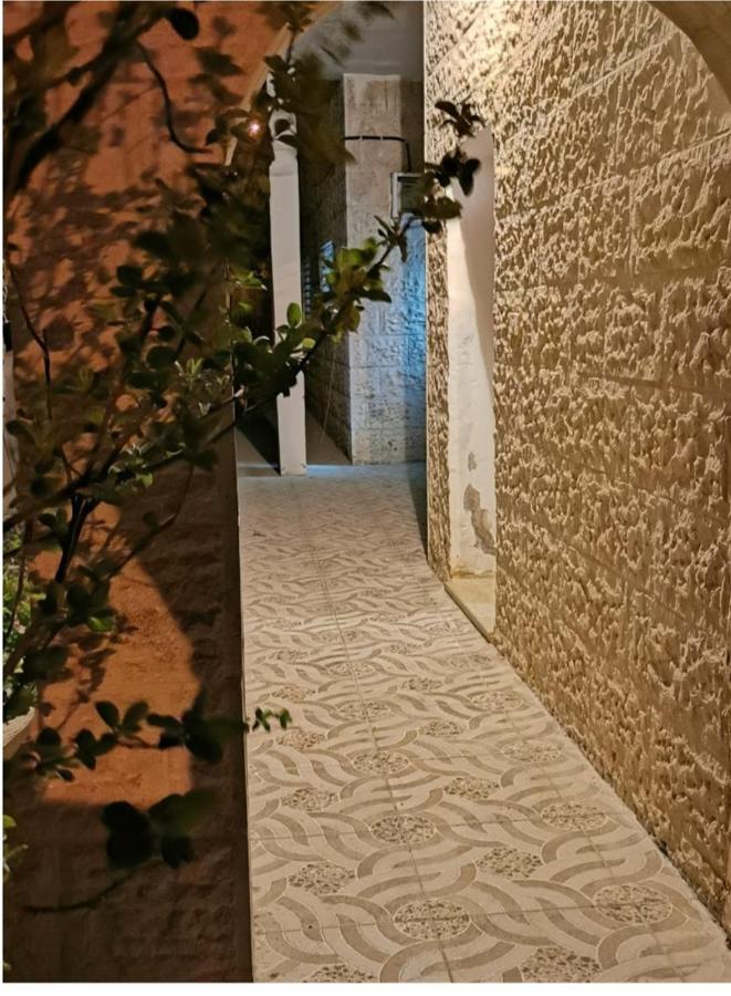 Orchid Apartment Wadi Musa Exteriér fotografie